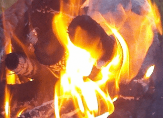 Pelican Carefree RV Resort – Marathon, FL I-95 Campgrounds | Pelican Carefree RV Resort - Marathon, Florida