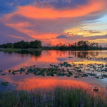 Martin County, Florida | I-95 Exit Guide