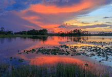 Martin County, Florida | I-95 Exit Guide