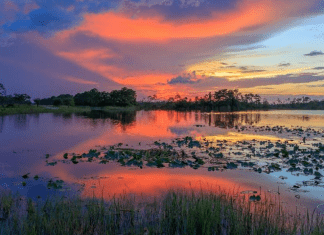 Martin County, Florida | I-95 Exit Guide