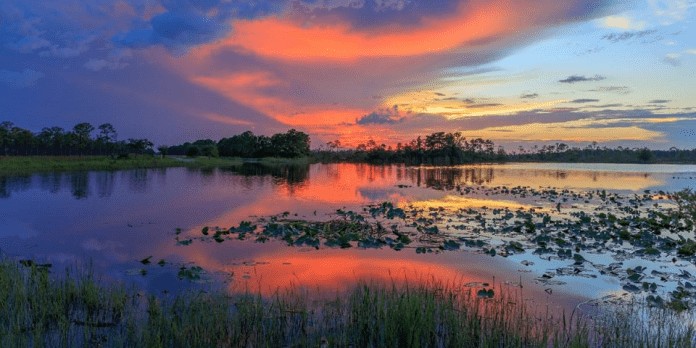 Martin County, Florida | I-95 Exit Guide