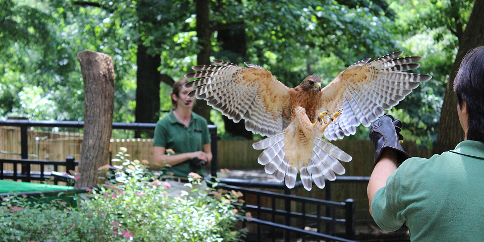 Brandywine Zoo | I-95 Exit Guide