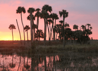 Lake Woodruff National Wildlife Refuge | I-95 Exit Guide