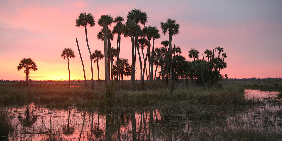 Lake Woodruff National Wildlife Refuge | I-95 Exit Guide