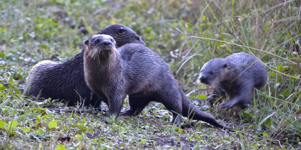 Lake Woodruff National Wildlife Refuge | I-95 Exit Guide