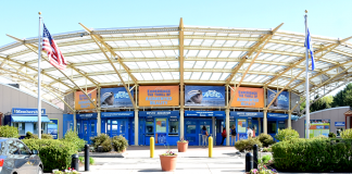 Mystic Aquarium | I-95 Exit Guide