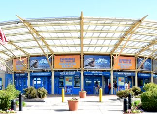 Mystic Aquarium | I-95 Exit Guide