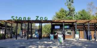 Stone Zoo | I-95 Exit Guide