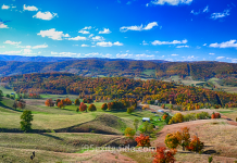Virginia Fall Foliage | I-95 Exit Guide