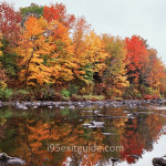 Fall Foliage | I-95 Exit Guide