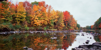 Fall Foliage | I-95 Exit Guide