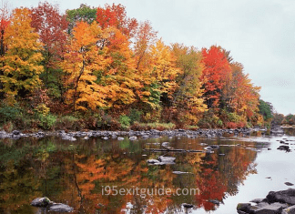 Fall Foliage | I-95 Exit Guide