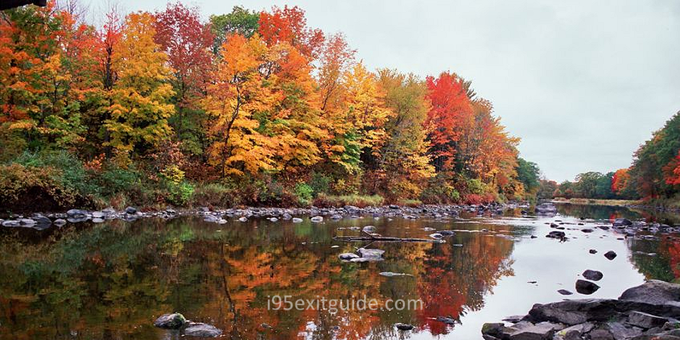 Fall Foliage | I-95 Exit Guide