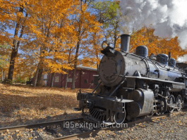 Connecticut Fall Foliage Train | I-95 Exit Guide