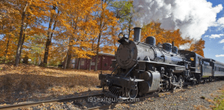 Connecticut Fall Foliage Train | I-95 Exit Guide
