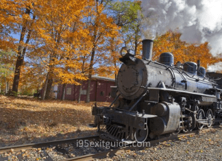 Connecticut Fall Foliage Train | I-95 Exit Guide