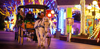 Kings Dominion Winterfest | I-95 Exit Guide