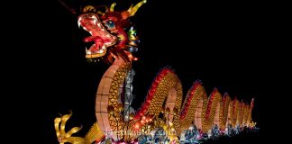 Asian Lantern Festival | I-95 Exit Guide