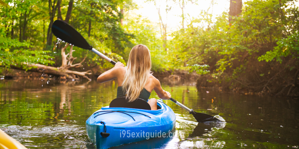 North Carolina marshland | I-95 Exit Guide