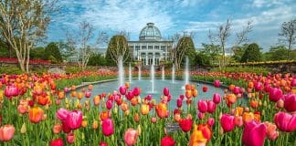 Lewis Ginter Botanical Garden | I-95 Exit Guide