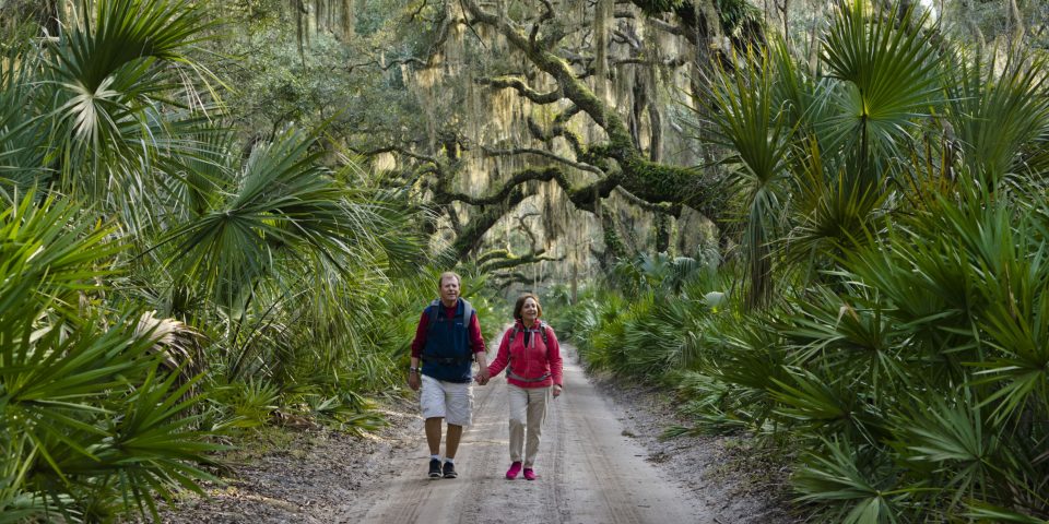 Cumberland Island National Seashore | I-95 Exit Guide