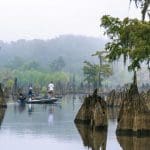 Northwest Florida State Parks | I-95 Exit Guide