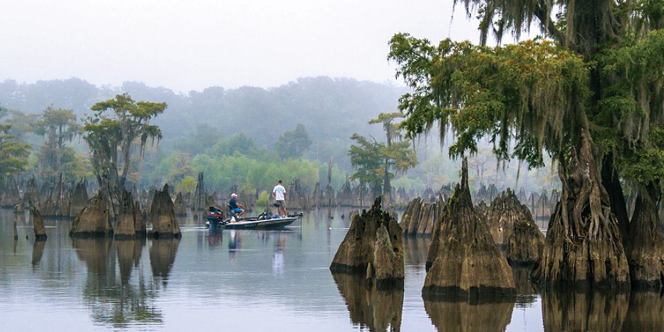 Northwest Florida State Parks | I-95 Exit Guide