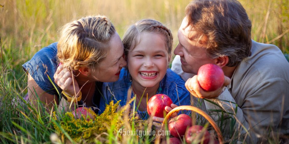 Family Picking Apples | I-95 Exit Guide