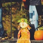 Warner Fall Foliage Festival | I-95 Exit Guide
