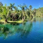 St. Johns Botanical Garden | I-95 Exit Guide