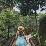 960×480-tropical-garden