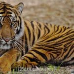 Jacksonville Zoo and Gardens | I-95 Exit Guide