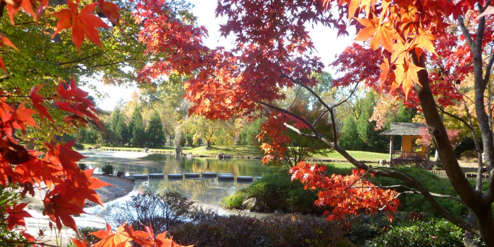 Maymont Japanese Gardens | I-95 Exit Guide