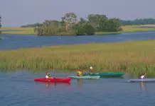 KIngsland, Georgia | I-95 Exit Guide