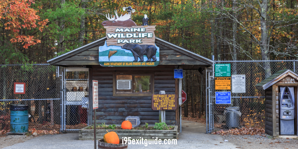 Maine Wildlife Park - Gray, Maine | I-95 Exit Guide