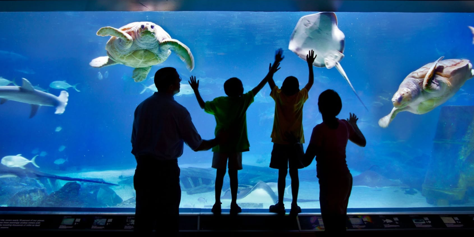 Adventure Aquarium - Camden, New Jersey | I-95 Exit Guide